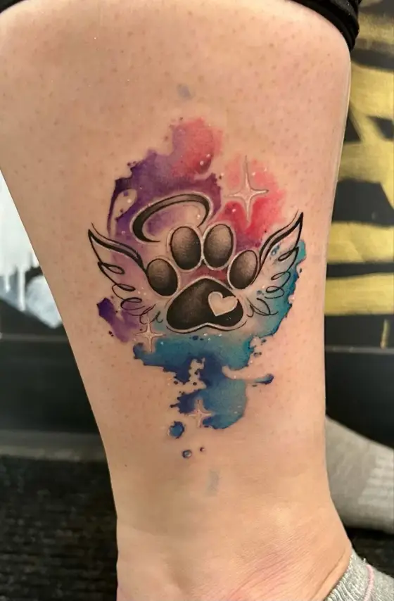 Patte de chien ailée avec auréole, sur fond d'aquarelle bleue et rose.